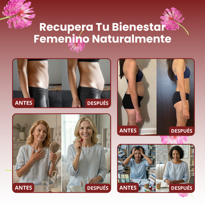 ZEREAN BALANCE™ | Fórmula Sinbiótica + Hongos Funcionales 3-en-1 para Equilibrio Hormonal y Menopausia