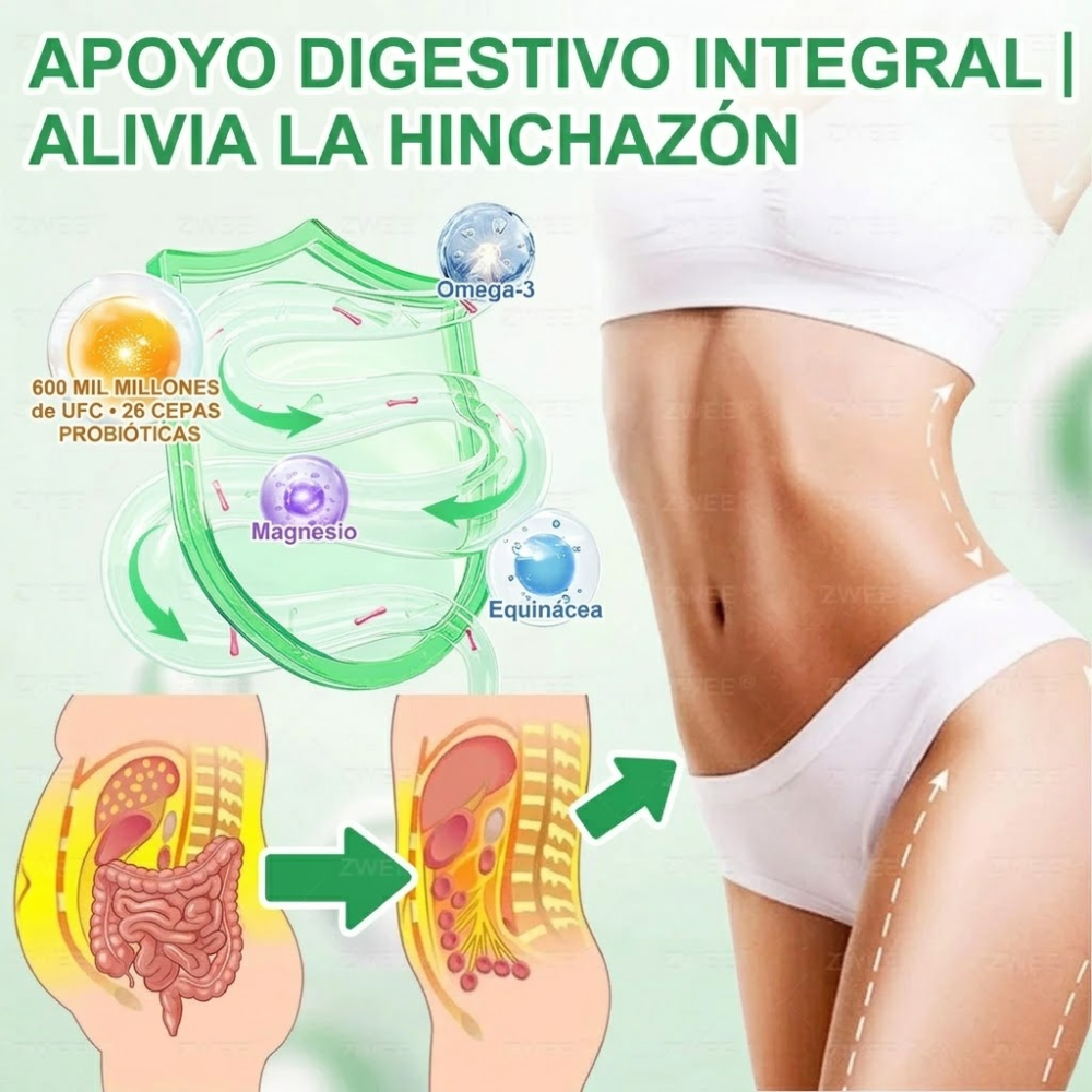 Tienda Oficial | ZWEEN® GLP-1 Oral 💊 12-en-1 Formula Avanzada 🇲🇽 (Solo 1 al día, cambios visibles en 7 días) 👨‍⚕️ Control de apetito, metabolismo, grasa corporal, apnea del sueño, problemas articulares y más 💝