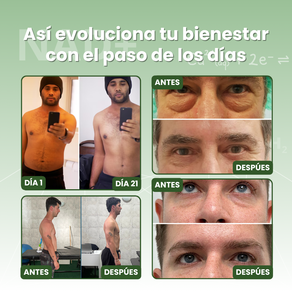 Tienda Oficial | 𝙉𝘼𝘿+® 𝙍𝙚𝙨𝙫𝙚𝙧𝙖𝙩𝙧𝙤𝙡 × 𝙌𝙪𝙚𝙧𝙘𝙚𝙩𝙞𝙣𝙖 𝟯-𝗲𝗻-𝟭 𝘼𝙙𝙫𝙖𝙣𝙘𝙚𝙙 𝘾𝙚𝙡𝙡 𝗦𝘂𝗽𝗽𝗼𝗿𝘁👨‍⚕️ Para metabolismo lento, estrés oxidativo, fatiga, envejecimiento celular y bajo rendimiento