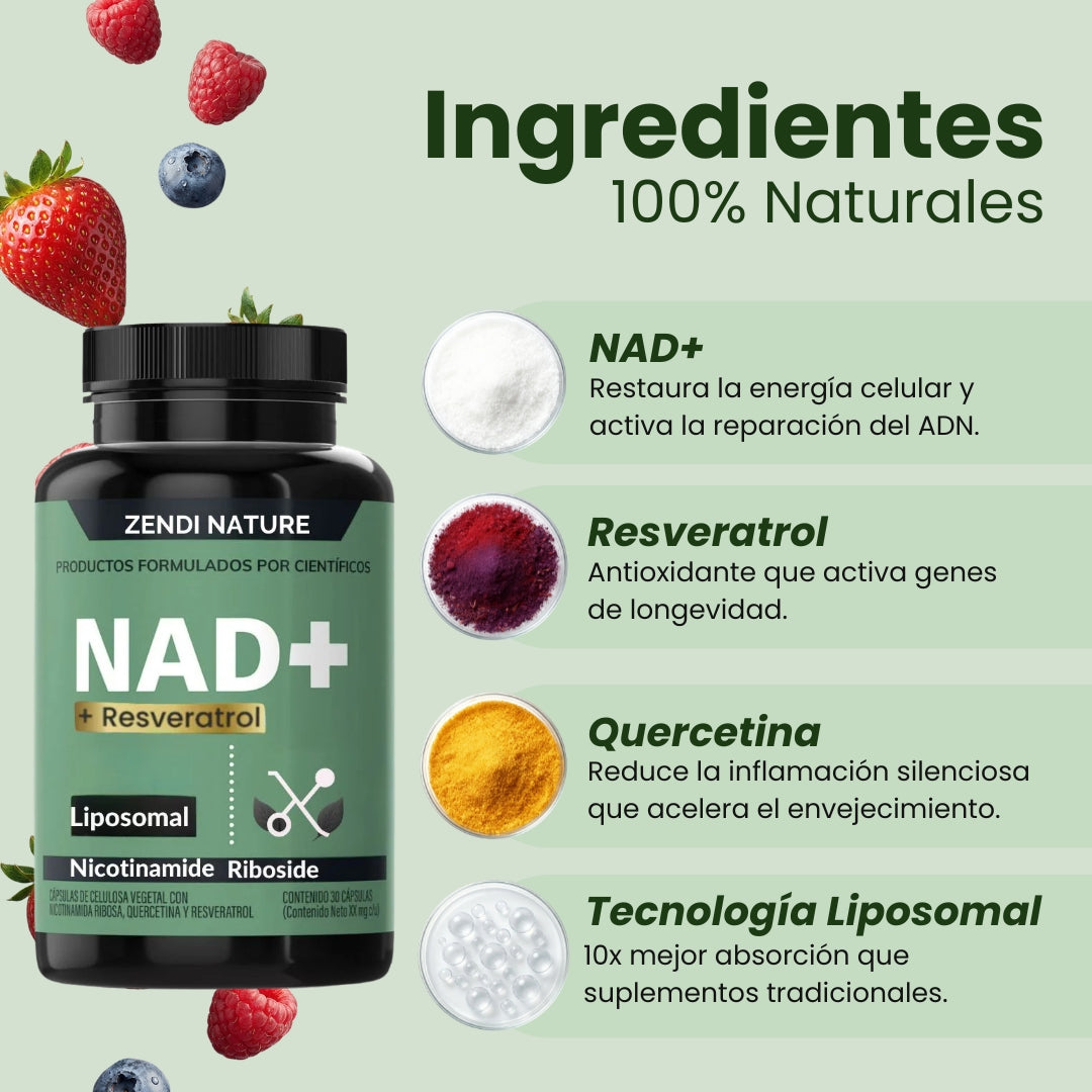 NAD+ | La forma más inteligente de cuidar tu energía, tu mente y tu cuerpo