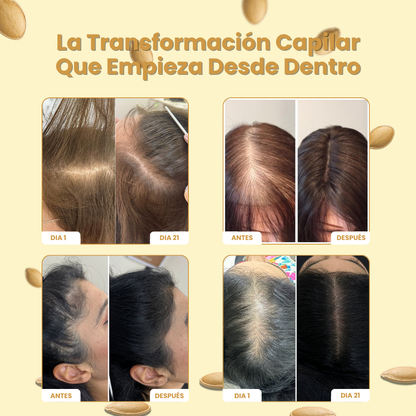 Tienda Oficial | FEMINU® por Zendi Nature • Aceite Natural de Semilla de Calabaza + Palmito para Mujer •