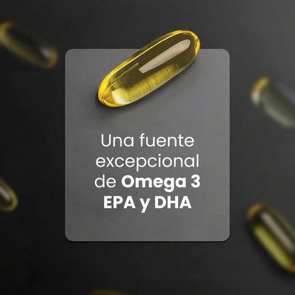 B Life Omega 3 Aceite Puro De Salmón | 90 Cápsulas | Máxima concentración de EPA y DHA | Omega 3 Salmon Oil.