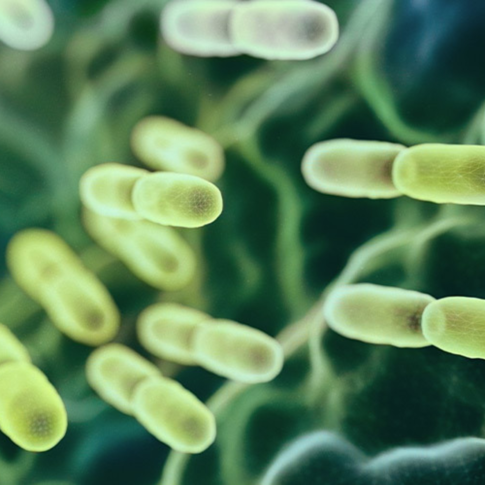 <h5>La Ciencia Detrás de tu Bienestar Íntimo</h5>