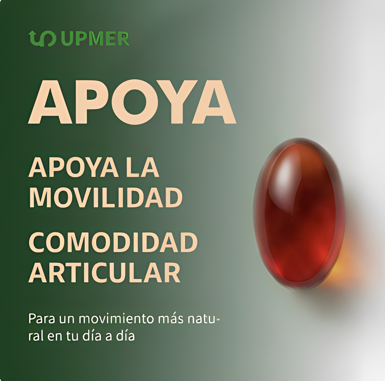 Tienda Oficial | Omega 3 Premium 5 en 1 🐟 1900 mg Ultra Potente (EPA + DHA)  | Energía, enfoque mental y bienestar diario en 21 días ⚡ Alta pureza de salmón salvaje