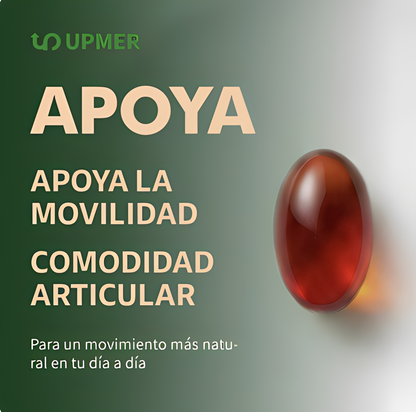 Tienda Oficial | Omega 3 Premium 5 en 1 🐟 1900 mg Ultra Potente (EPA + DHA)  | Energía, enfoque mental y bienestar diario en 21 días ⚡ Alta pureza de salmón salvaje